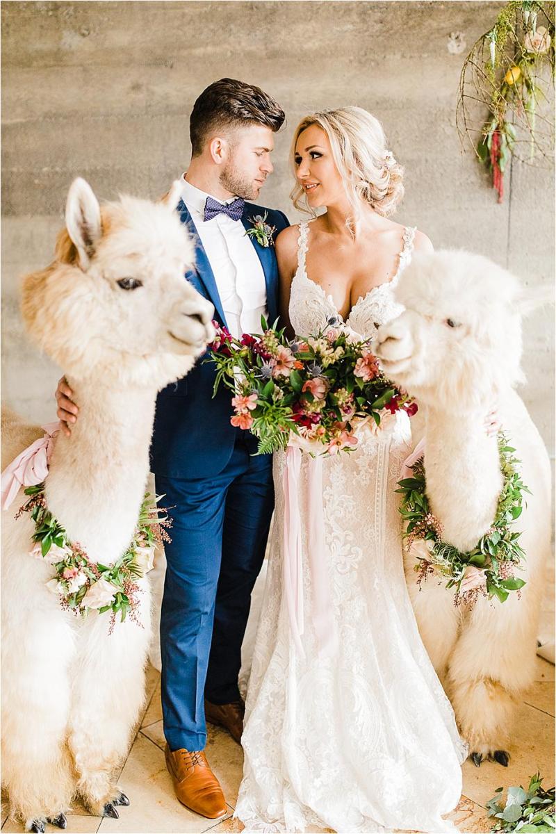 styled shoot, alpaca, wedding, oregon wedding, oregon bride, wedding alpacas, wedding inspo
