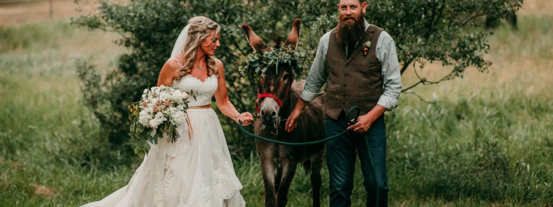 Bride and groom with a donkey bedecked in a floral wreath
